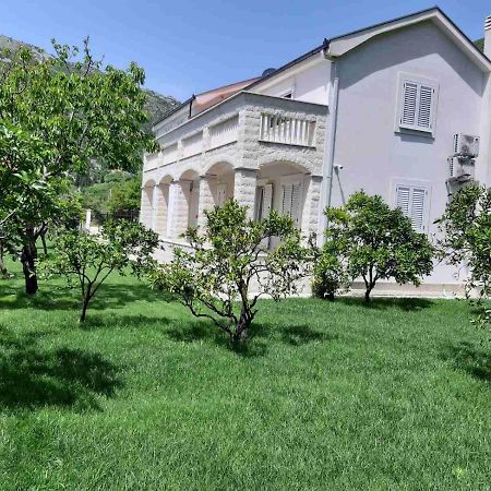 Queen Teuta Hotel Risan Kültér fotó