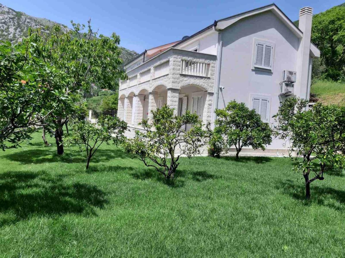 Queen Teuta Hotel Risan Kültér fotó